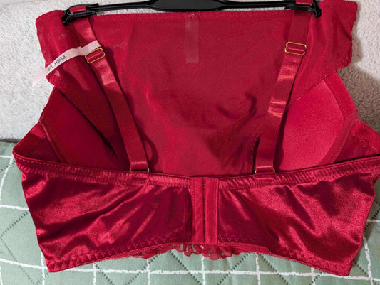 Daisy Fuentes Sexy Bra & Panty Set